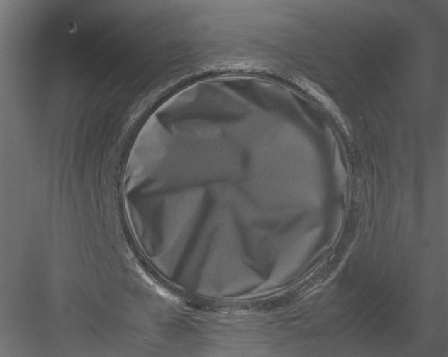 X0000082970577200702230009