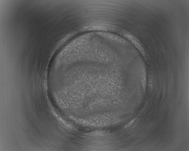 X0000082970578200702230009