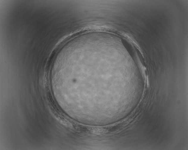 X0000082970579200702230009