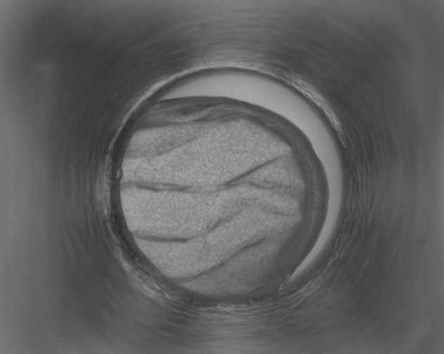 X0000082970580200702230009