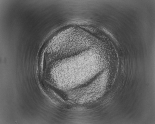 X0000082970582200702230009