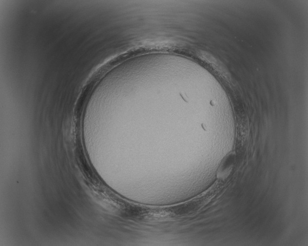 X0000082970583200702230009