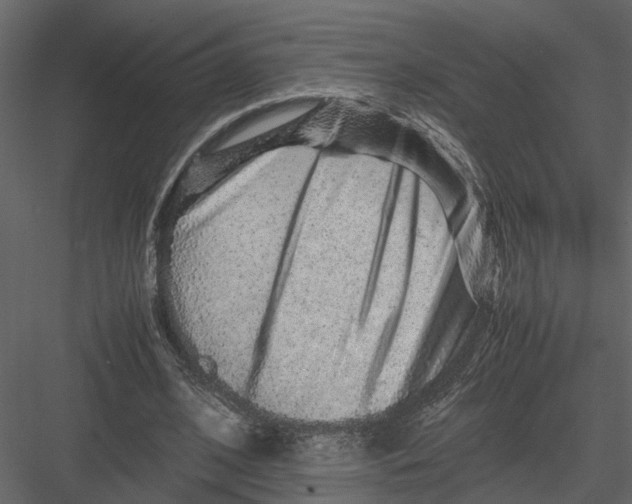 X0000082970584200702230009