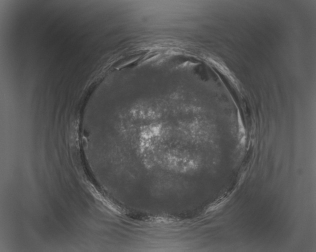 X0000082970585200702230009