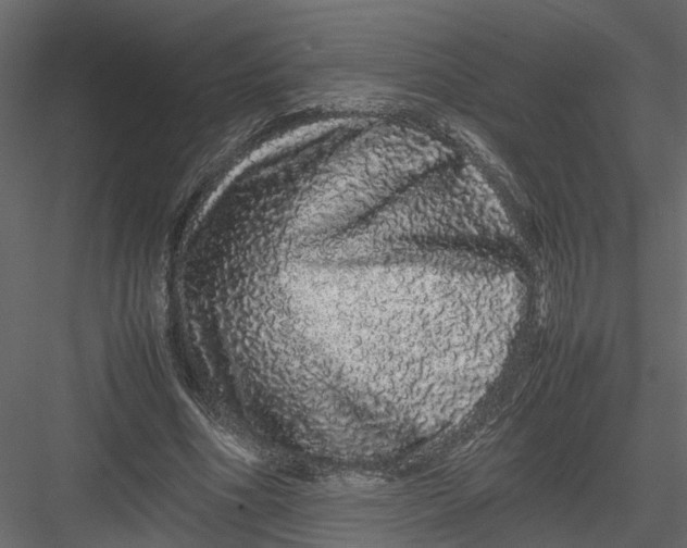 X0000082970586200702230009