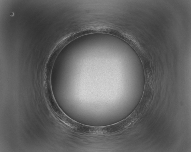 X0000082970587200702230009