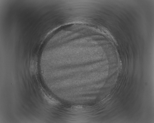 X0000082970588200702230009