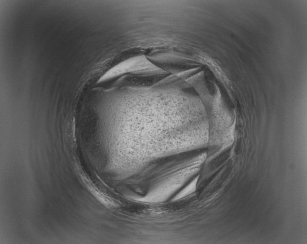 X0000082970589200702230009