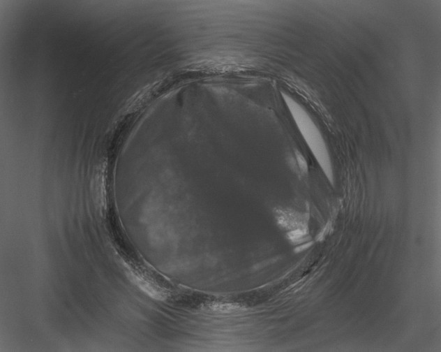 X0000082970590200702230009