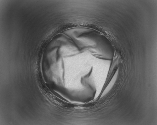 X0000082970591200702230009