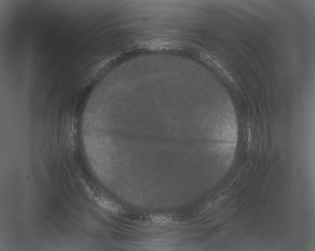 X0000082970592200702230009