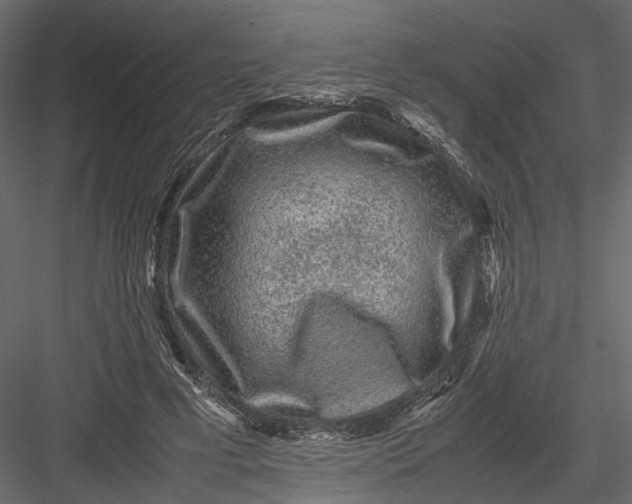 X0000082970593200702230009