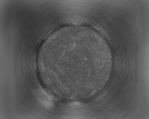 X0000082970594200702230009