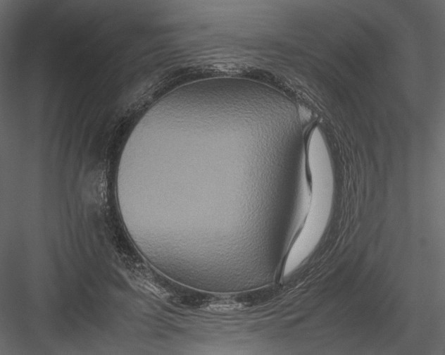 X0000082970595200702230009