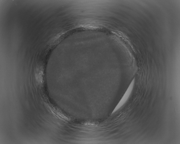 X0000082970596200702230009