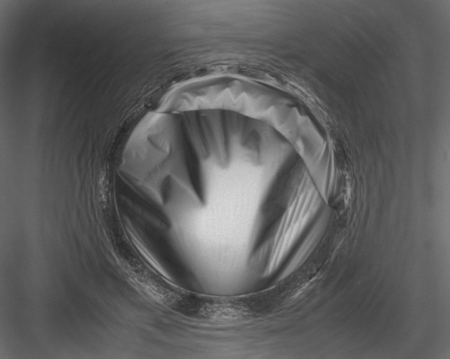 X0000082970597200702230009