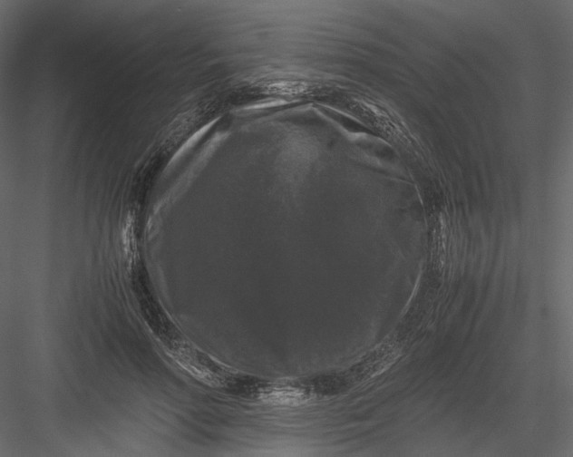 X0000082970598200702230009