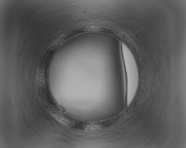 X0000082970599200702230009