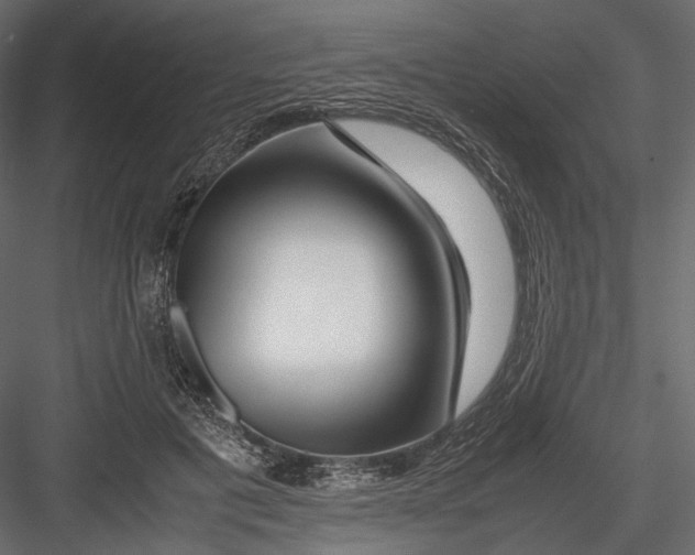 X0000082970601200702230009