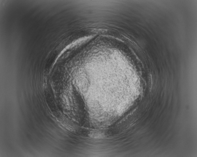 X0000082970602200702230009