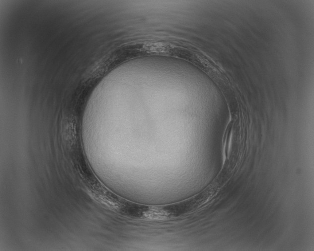 X0000082970603200702230009