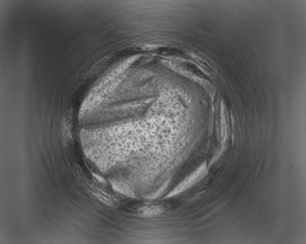 X0000082970604200702230009