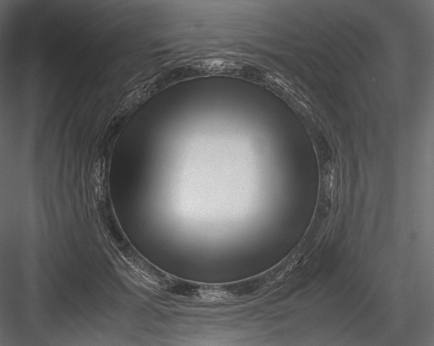 X0000082970605200702230009