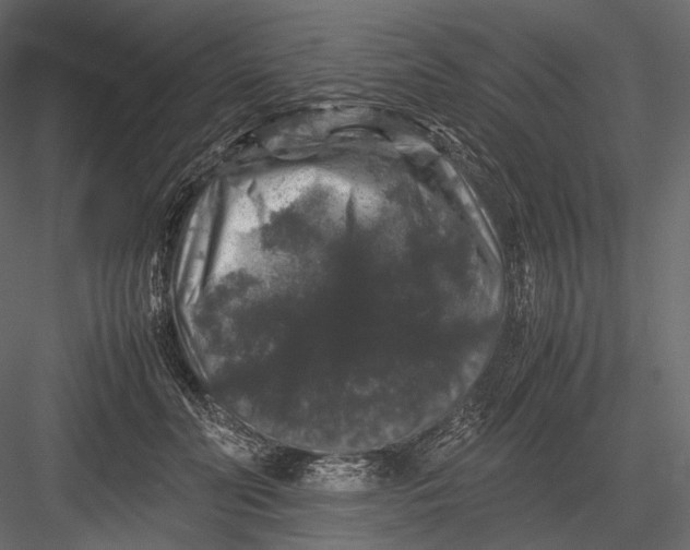 X0000082970606200702230009