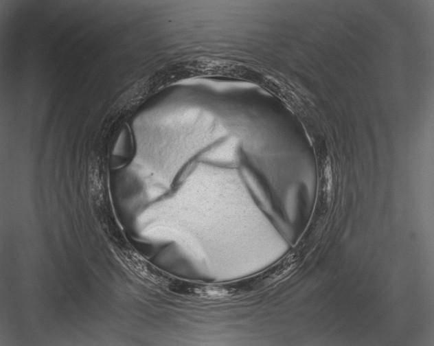 X0000082970607200702230009