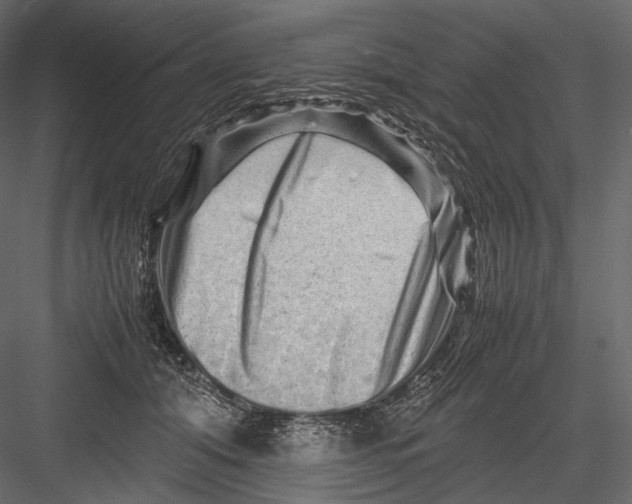 X0000082970608200702230009