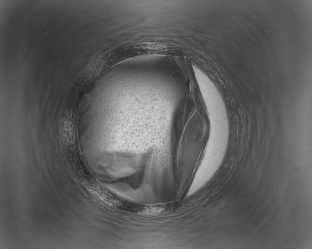 X0000082970609200702230009