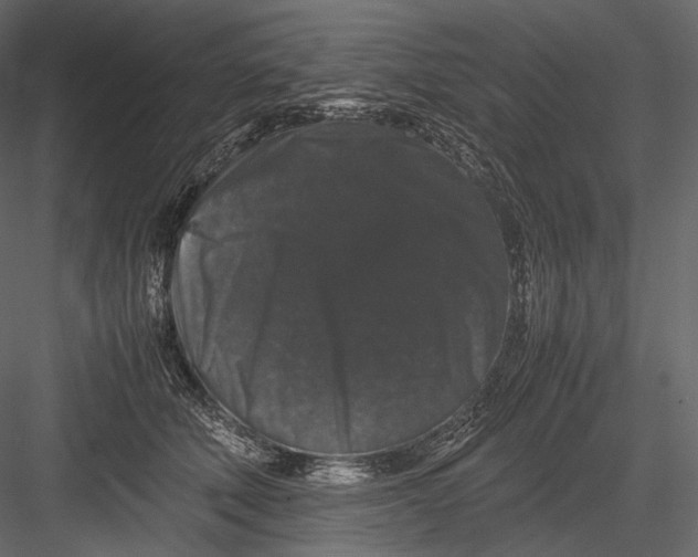 X0000082970610200702230009