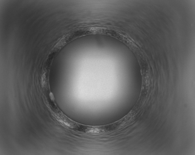 X0000082970611200702230009