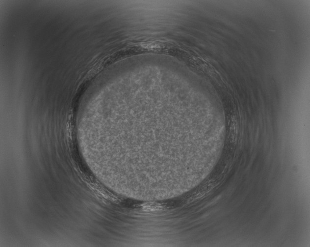 X0000082970612200702230009