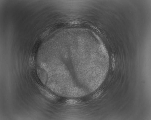 X0000082970614200702230009