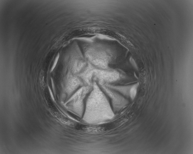 X0000082970615200702230009