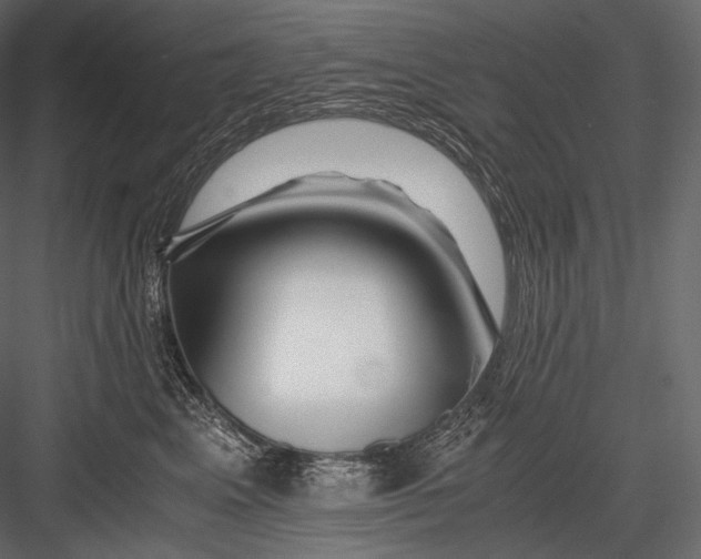 X0000082970617200702230008