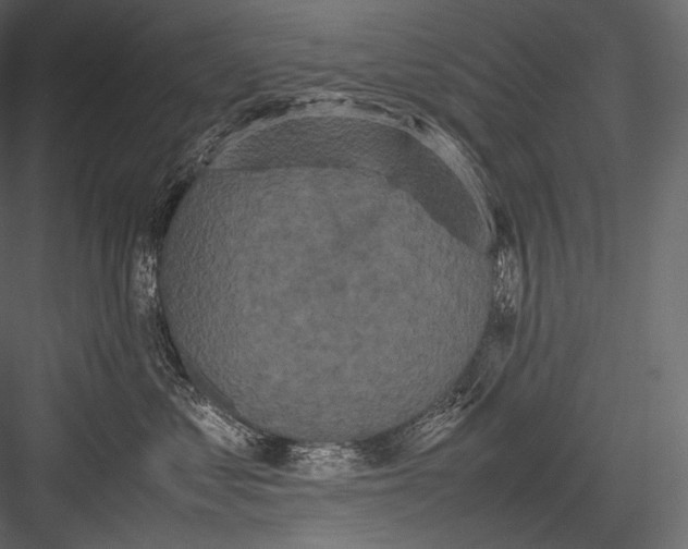 X0000082970621200702230008