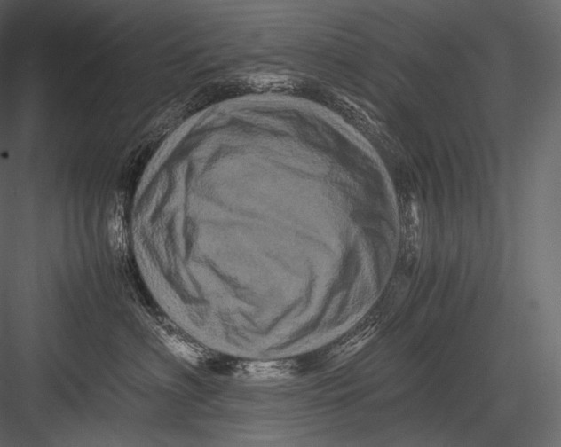 X0000082970622200702230008