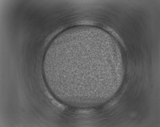 X0000082970625200702230008