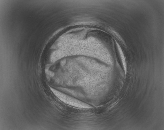 X0000082970628200702230008