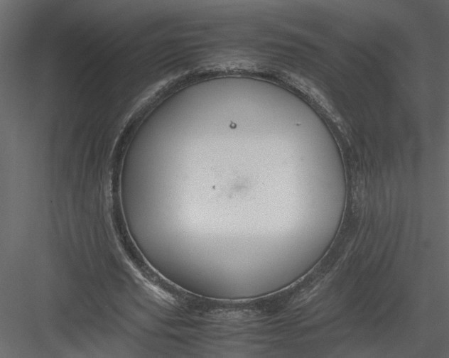 X0000082970629200702230008