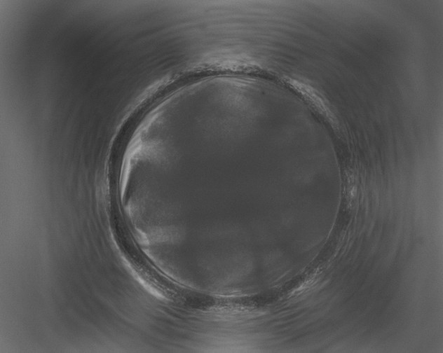 X0000082970630200702230008