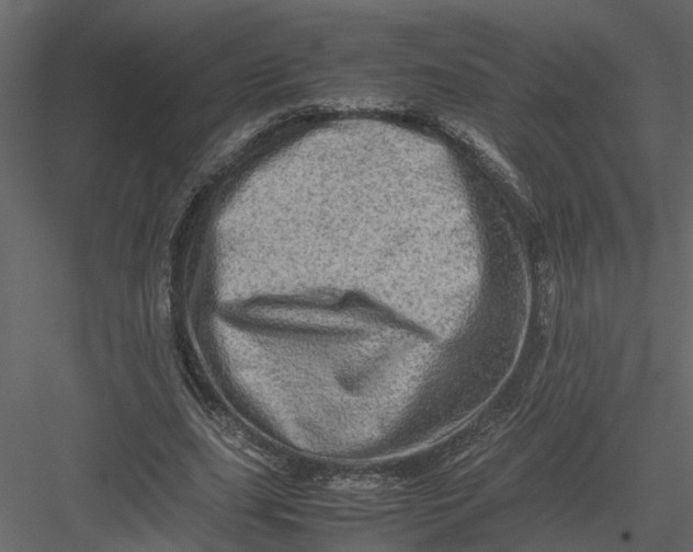 X0000082970631200702230008