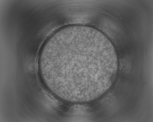 X0000082970632200702230008