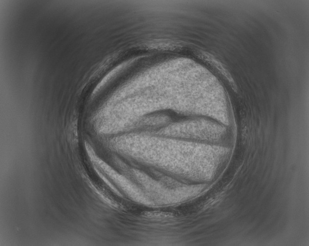 X0000082970633200702230008