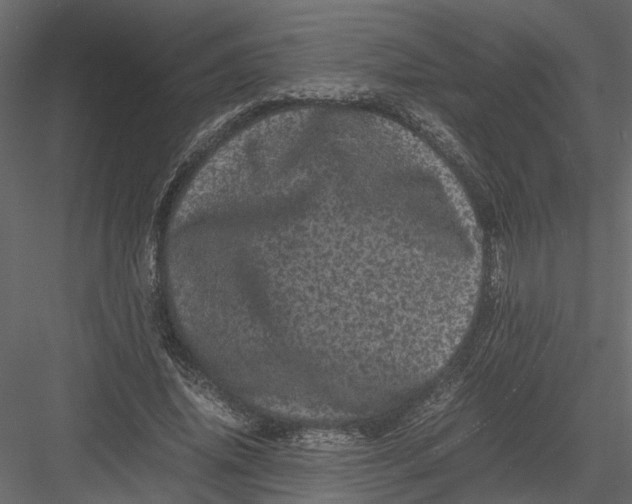 X0000082970636200702230008