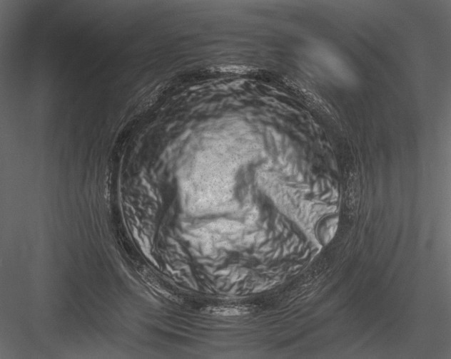 X0000082970639200702230008