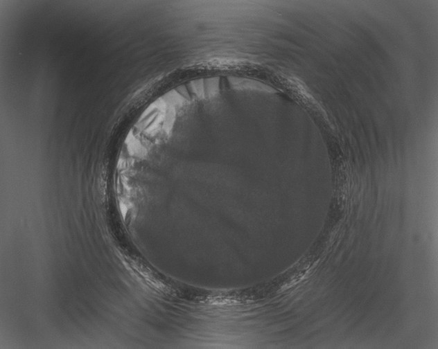 X0000082970640200702230008