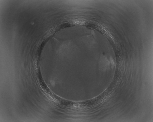 X0000082970641200702230008